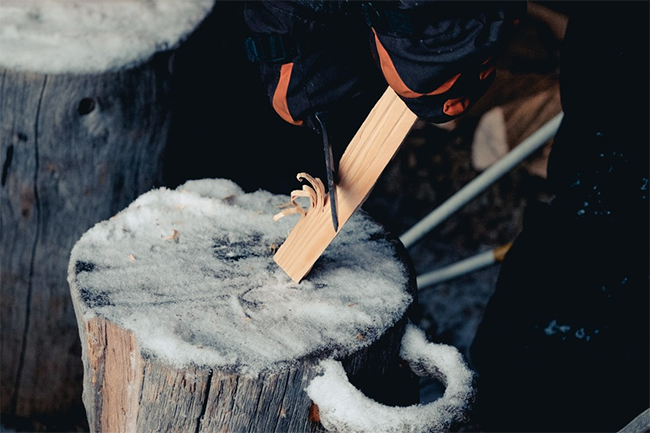 Le bois, les différentes essences utilisées en modélisme [MATERIEL] 