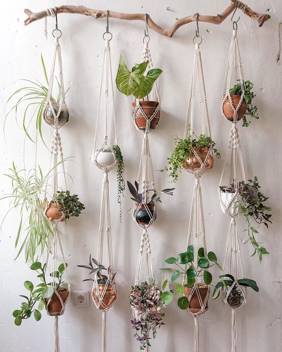 Mur de plantes 